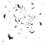 Clipart PNG Bundle (121 Images) – Transparent Background - Image 107