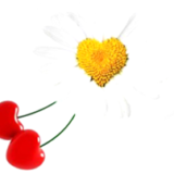 Clipart PNG Bundle (121 Images) – Transparent Background - Image 110