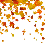 Clipart PNG Bundle (121 Images) – Transparent Background - Image 117