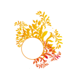 Clipart PNG Bundle (121 Images) – Transparent Background - Image 16