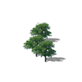 Clipart PNG Bundle (121 Images) – Transparent Background - Image 33