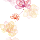 Clipart PNG Bundle (121 Images) – Transparent Background - Image 9