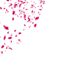 Effects PNG Bundle (24 Images) - Image 11