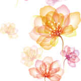 Effects PNG Bundle (24 Images) - Image 21