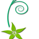 Floral Corner Border PNG Bundle - 640 Images - Image 11