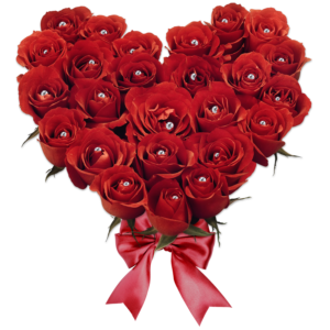 Flower PNG Bundle 45 Images – Floral & Decorative Graphics Pack