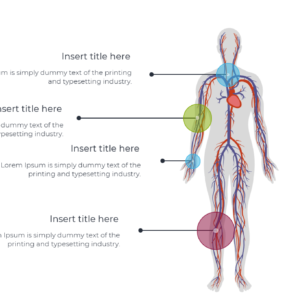 Human Brain & Body PowerPoint Template – Editable Slides