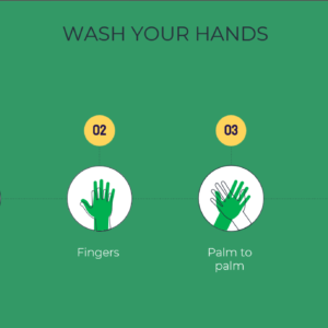 COVID-19 (Corona) PowerPoint Template – 79 Editable Slides - Image 4