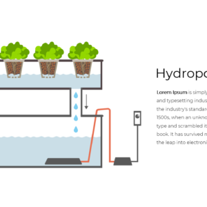 Ecology PowerPoint Template – 41 Editable Slides